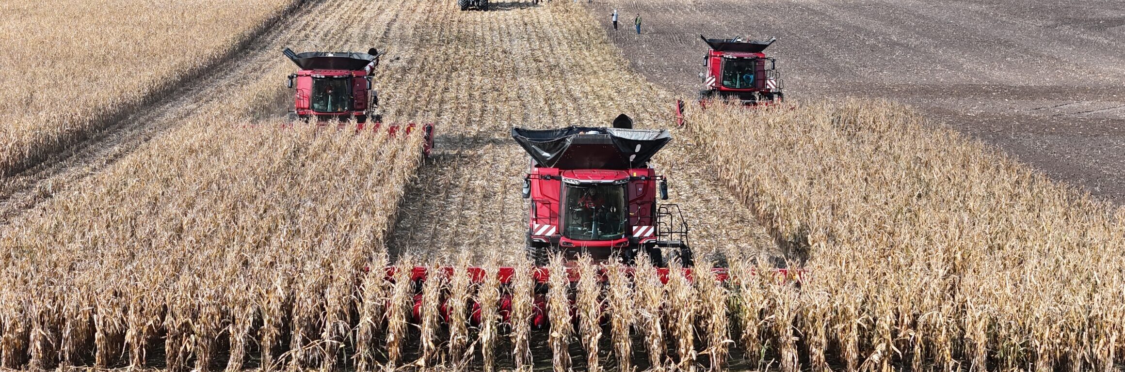 CORN SHOW 2025 ZA NAMI – DWA DNI PEŁNE MOCY, TECHNOLOGII I PASJI DO ROLNICTWA
